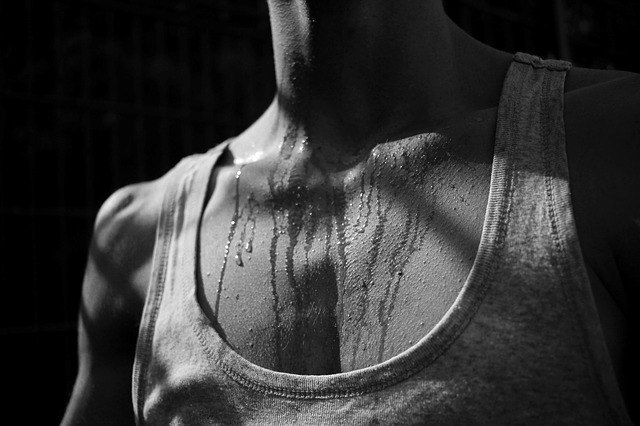 pheromones and sweat
