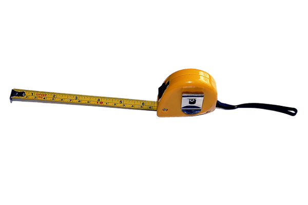 penile length