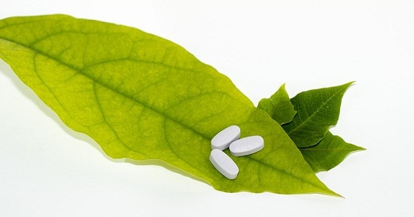Natural Libido Enhancers 6 Ways to Bring the Fire Back