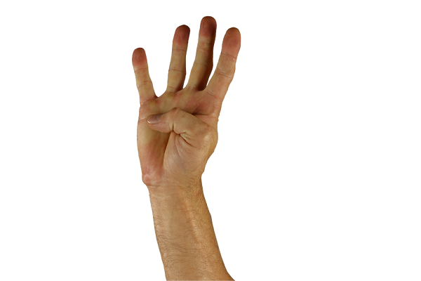 four fingers