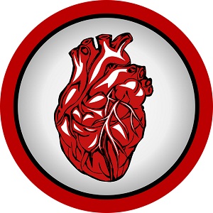 cardiovascular diseases