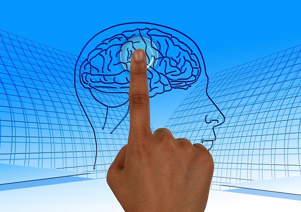 you program your brain