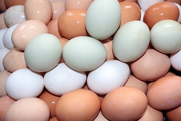 Eggs