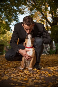 pets